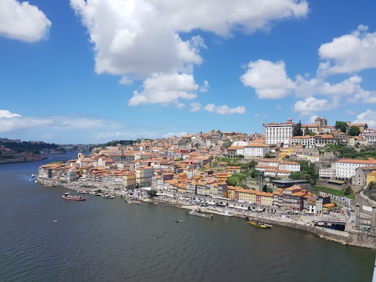 city buildings near body of water under blue and white sunny cloudy sky during daytime in Garden of Morro Portugal