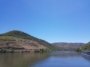 green and brown mountain beside body of water under blue sky during daytime