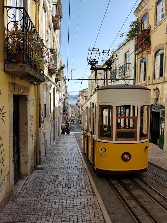 yellow and white tram on street during daytime in Elevador da Bica Portugal