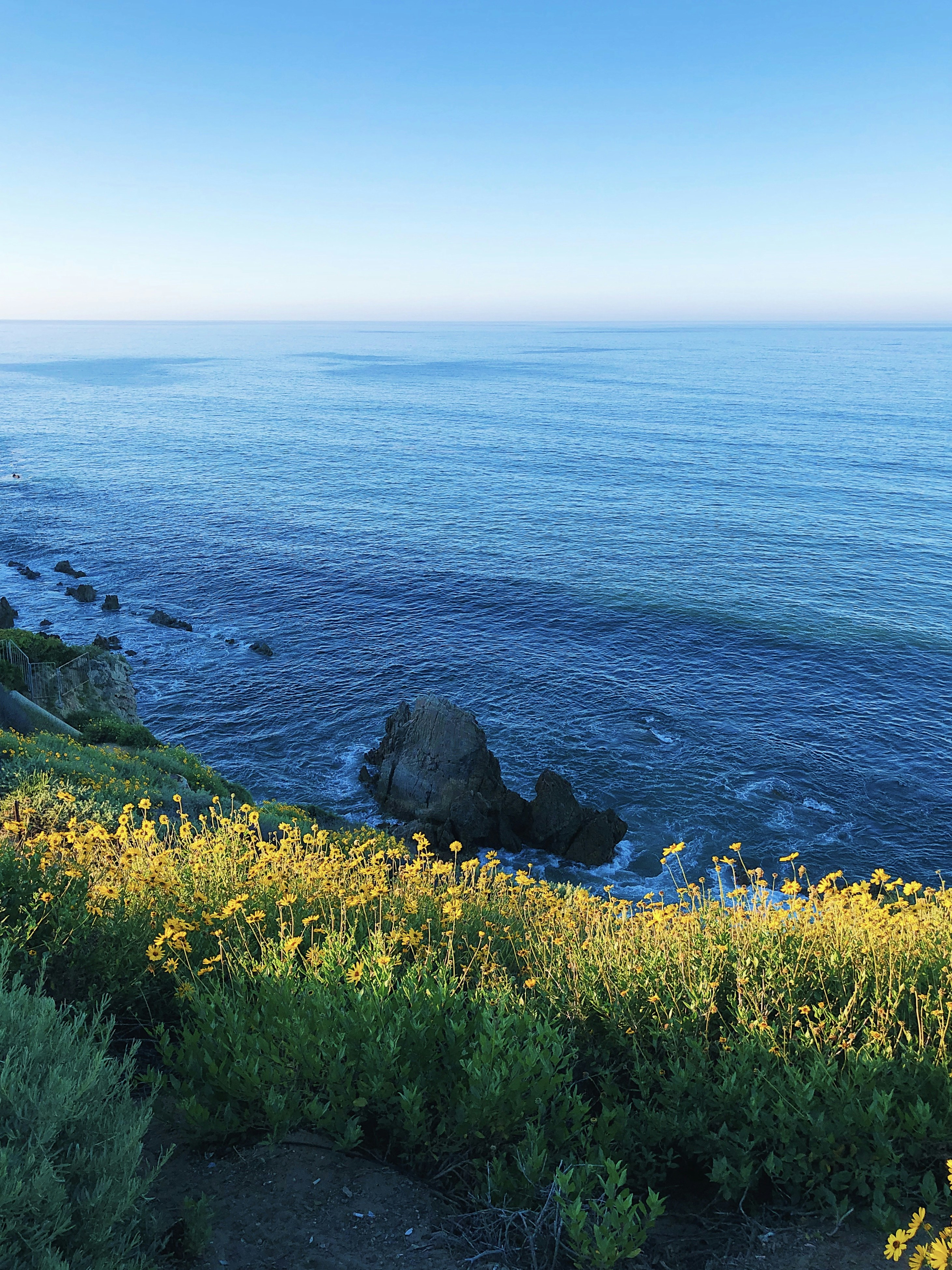 Photo by brandonrussell