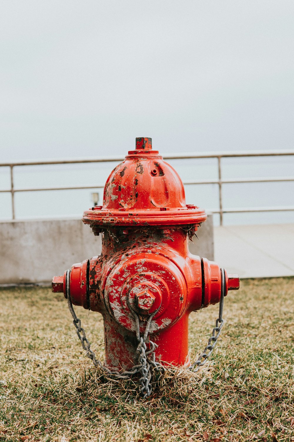 red fire hydrant on green grass field during daytime