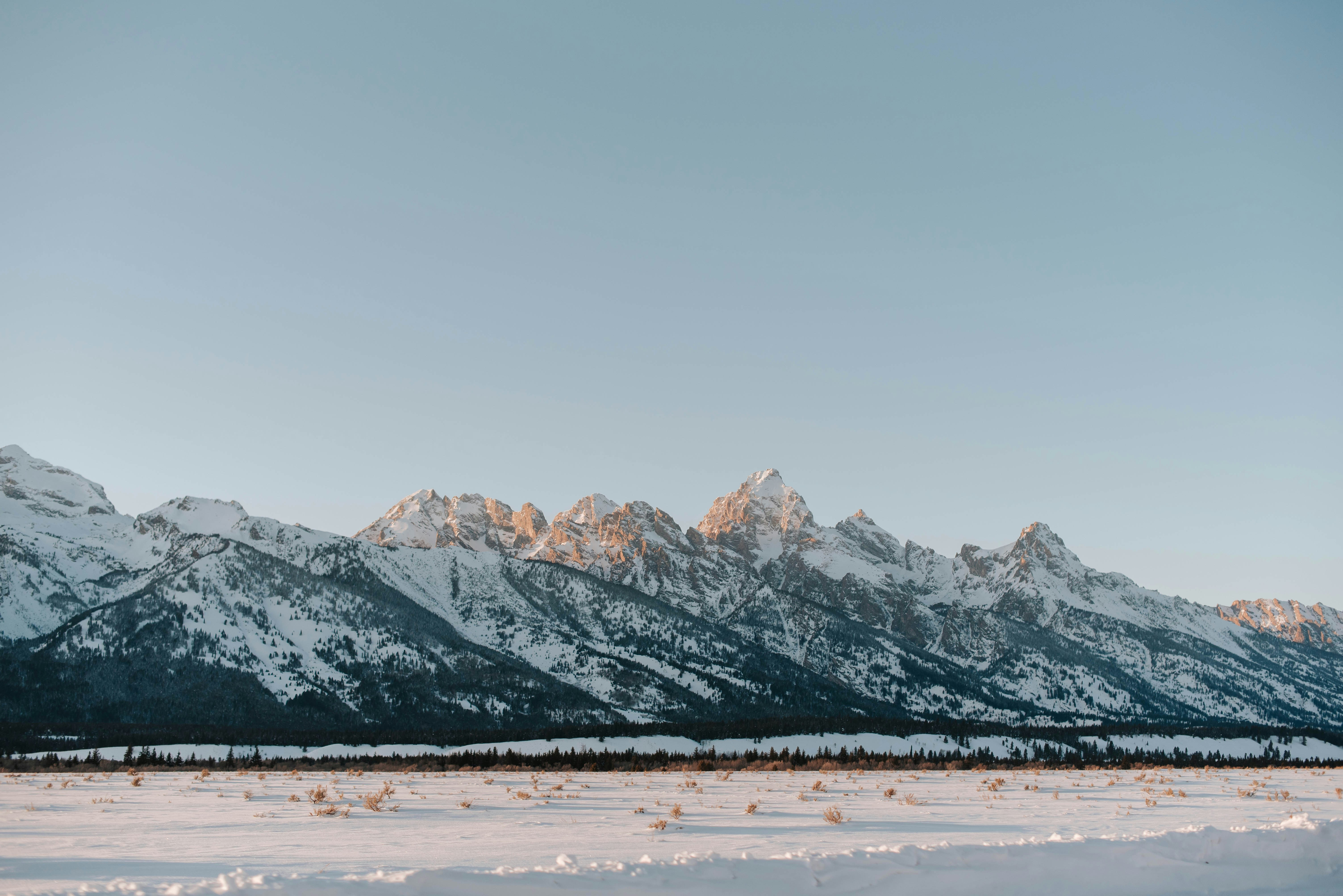 Photo by octoberroses