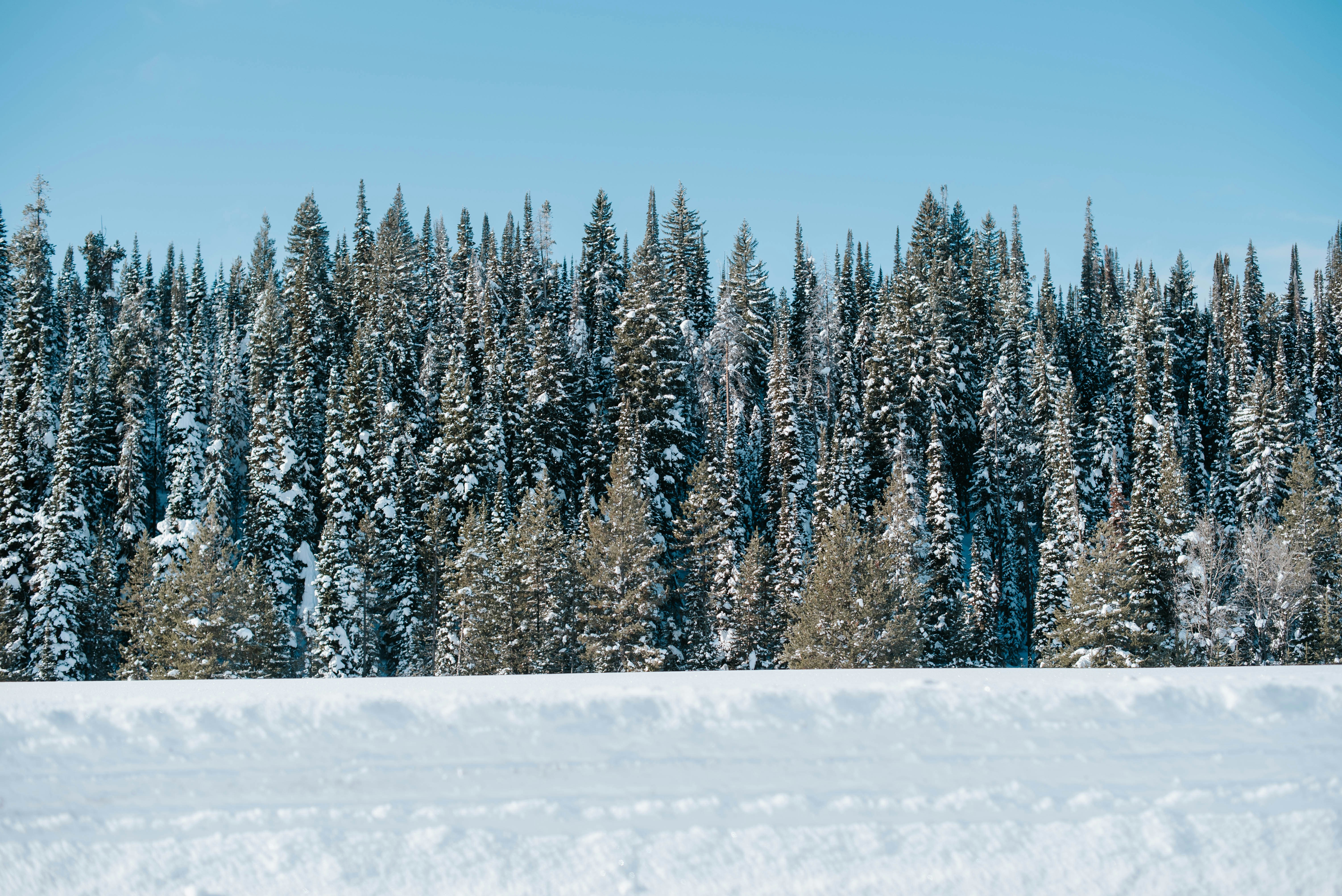 Photo by octoberroses