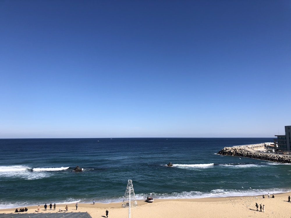 people on beach during daytime