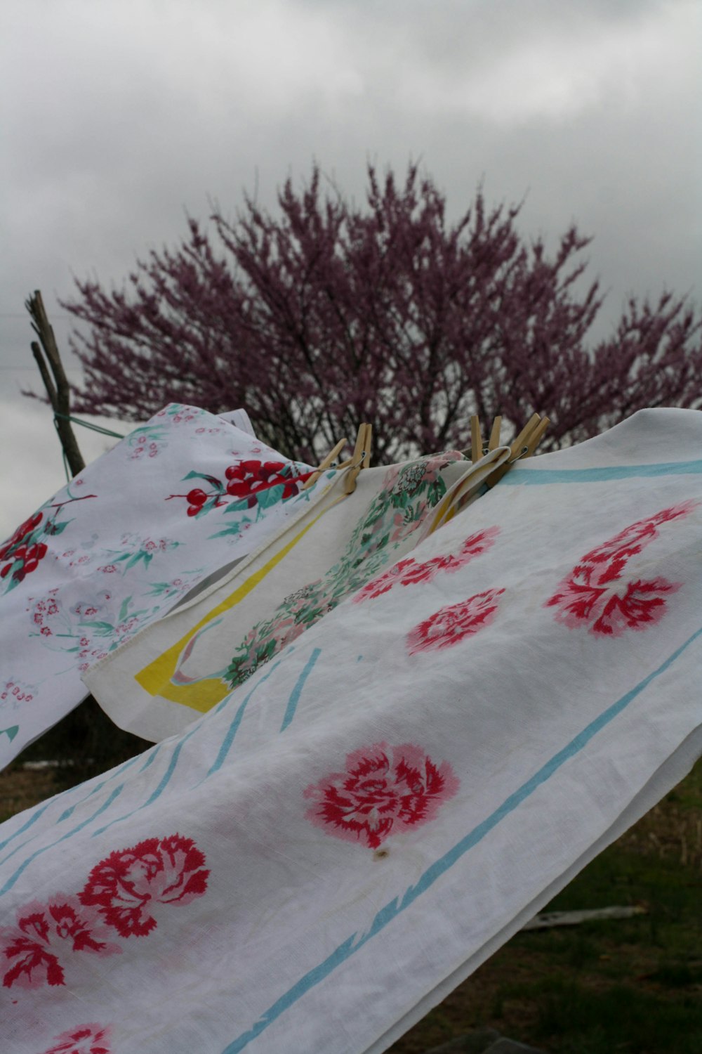 white red and yellow floral textile