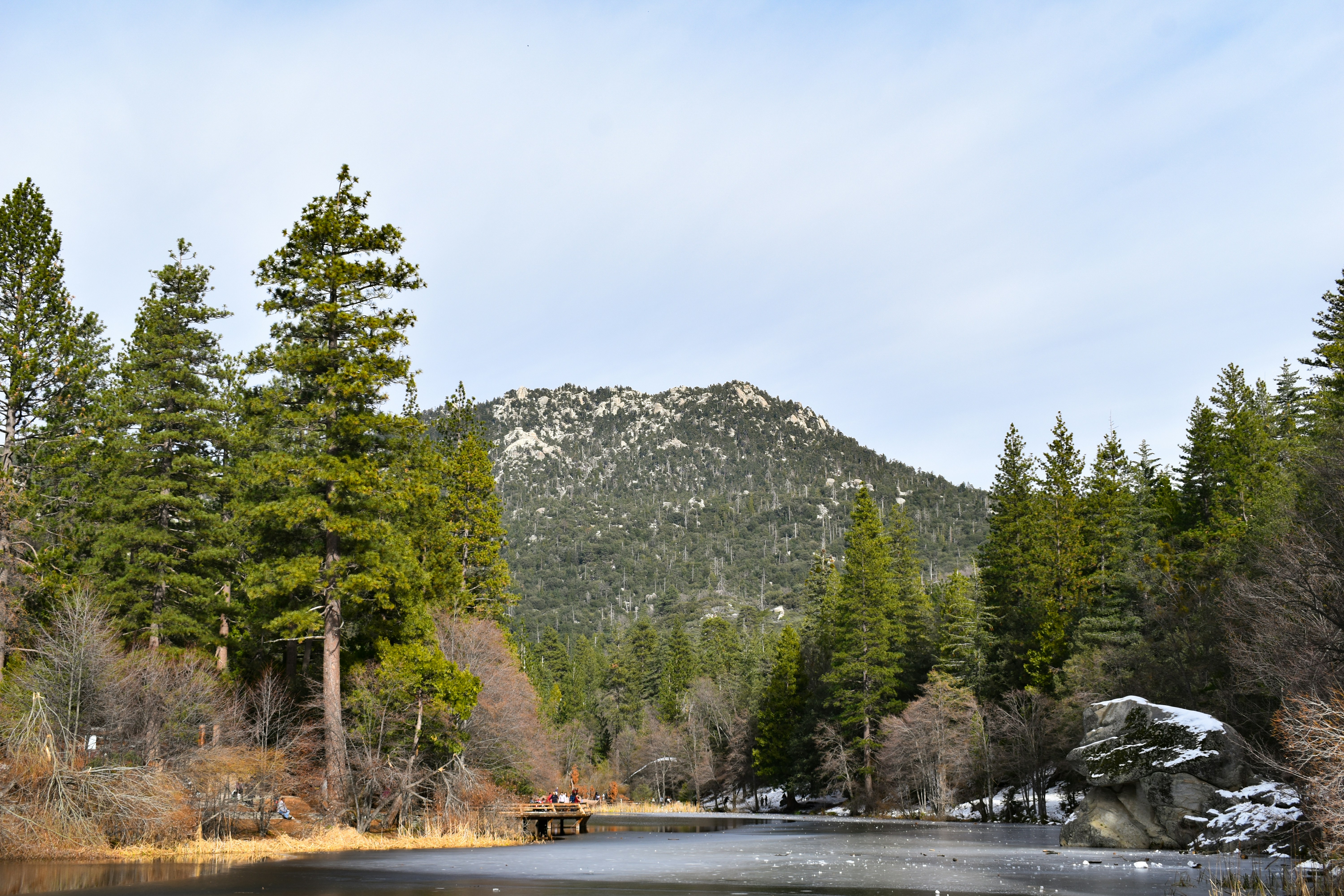 green trees near body of water and mountain during daytime