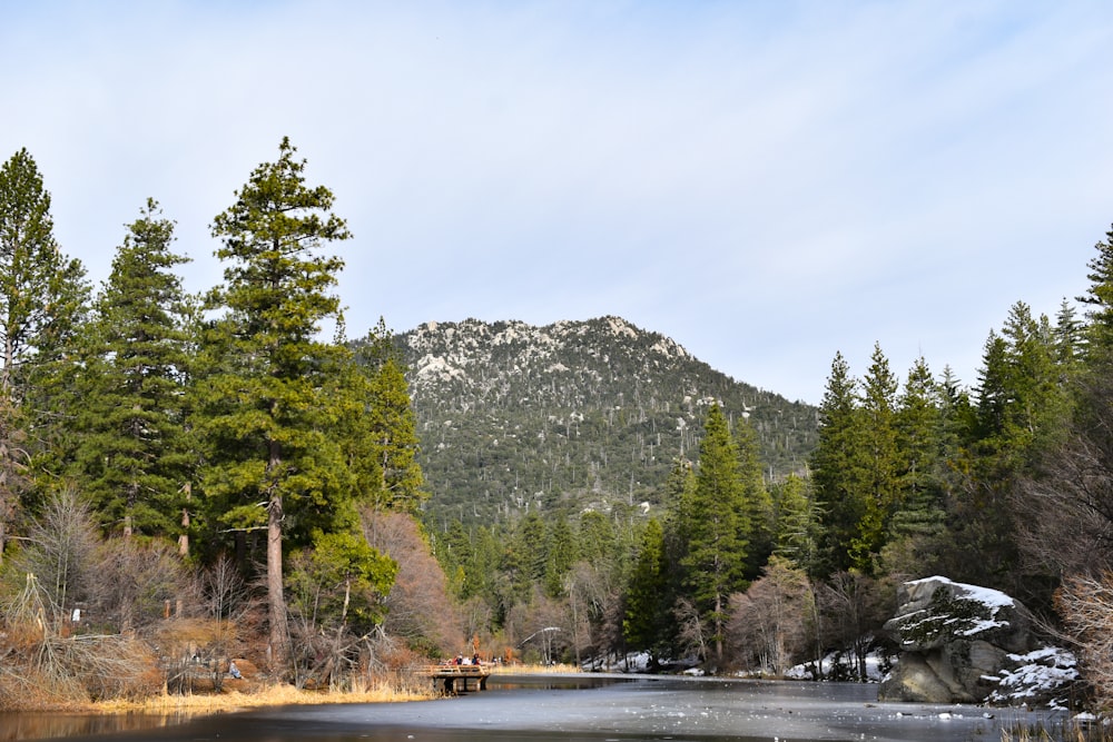 green trees near body of water and mountain during daytime