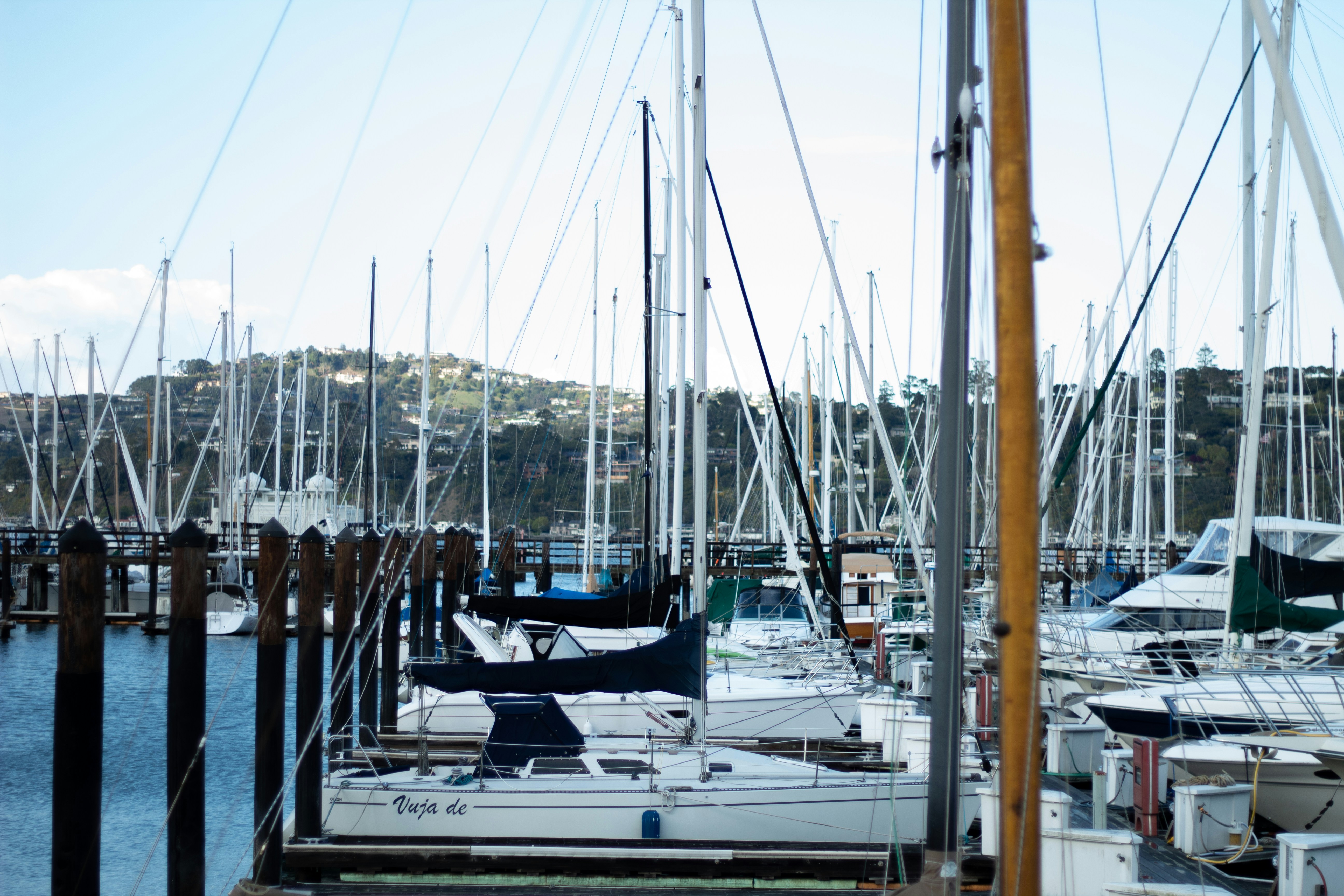 white and blue boat on sea dock during daytime