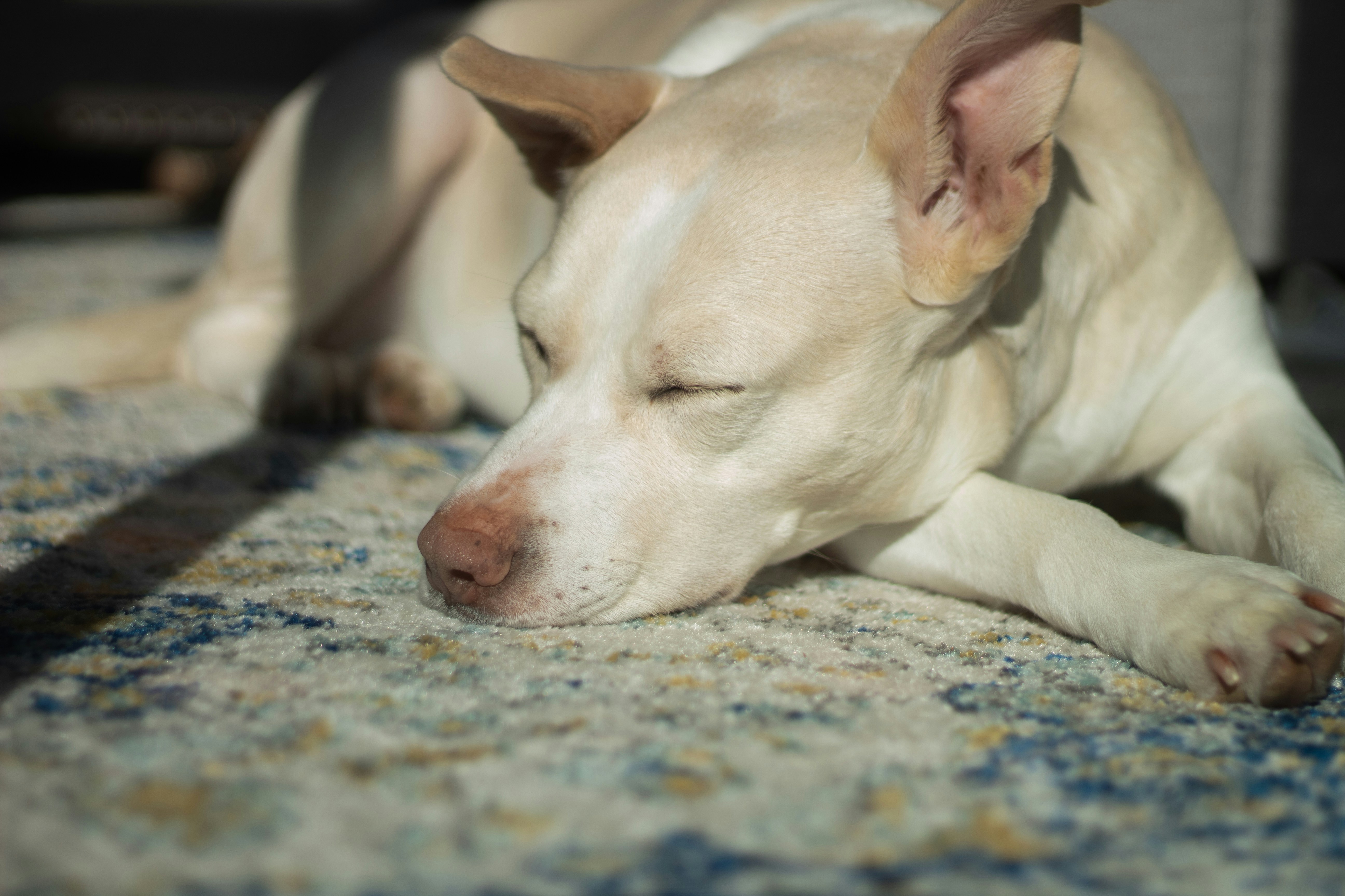 Breathing Patterns and What They Signal