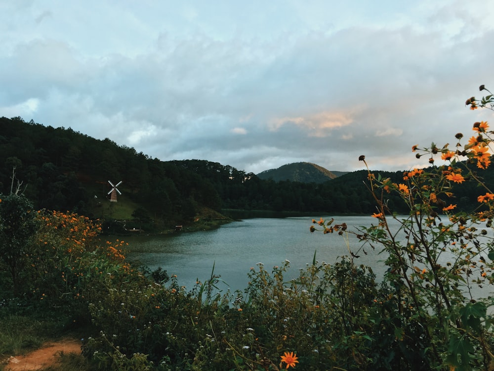 green trees near body of water under cloudy sky during daytime