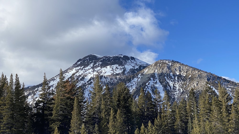 green pine trees near snow covered mountain under blue and white cloudy sky during daytime