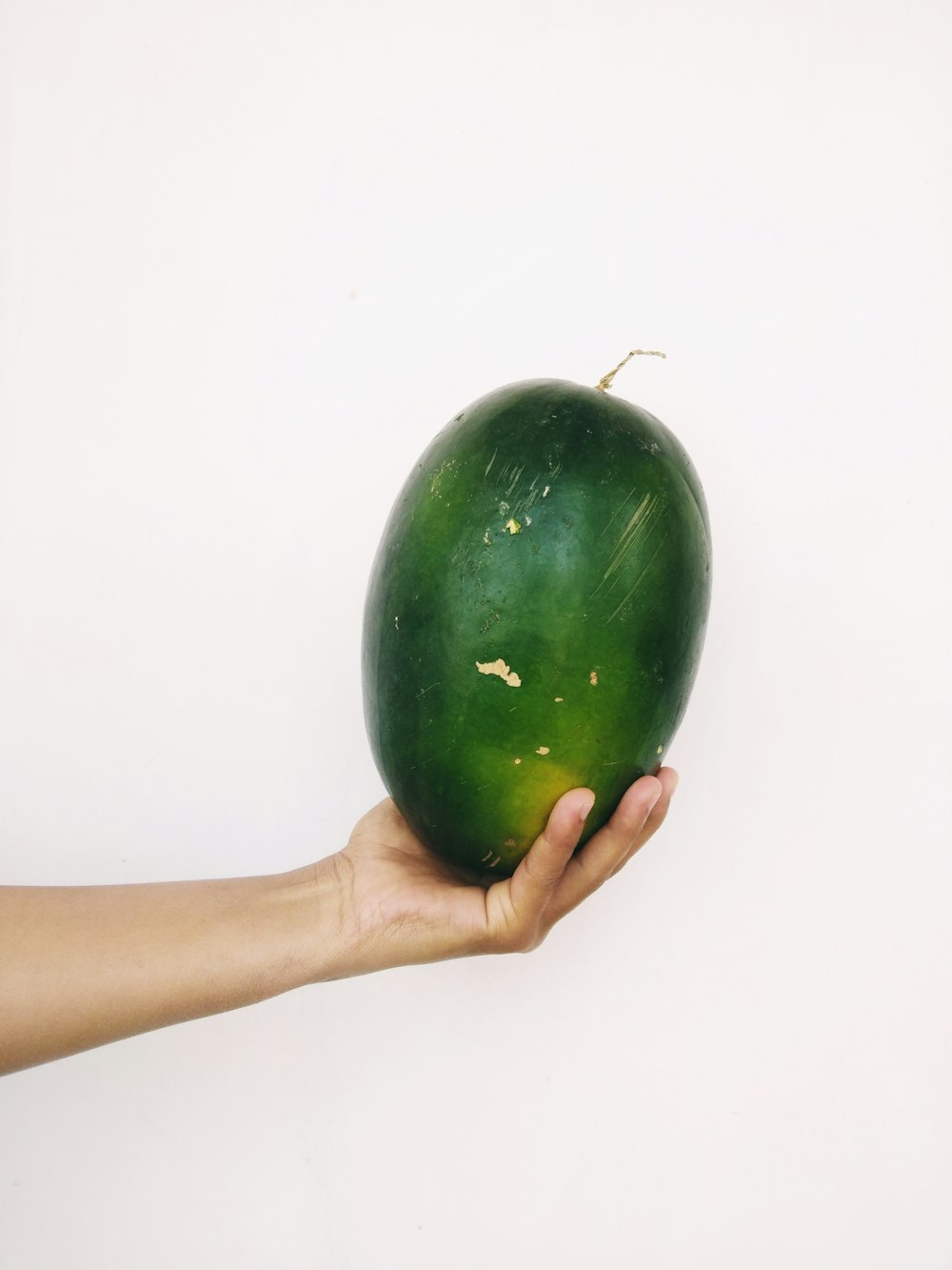 person holding green round fruit