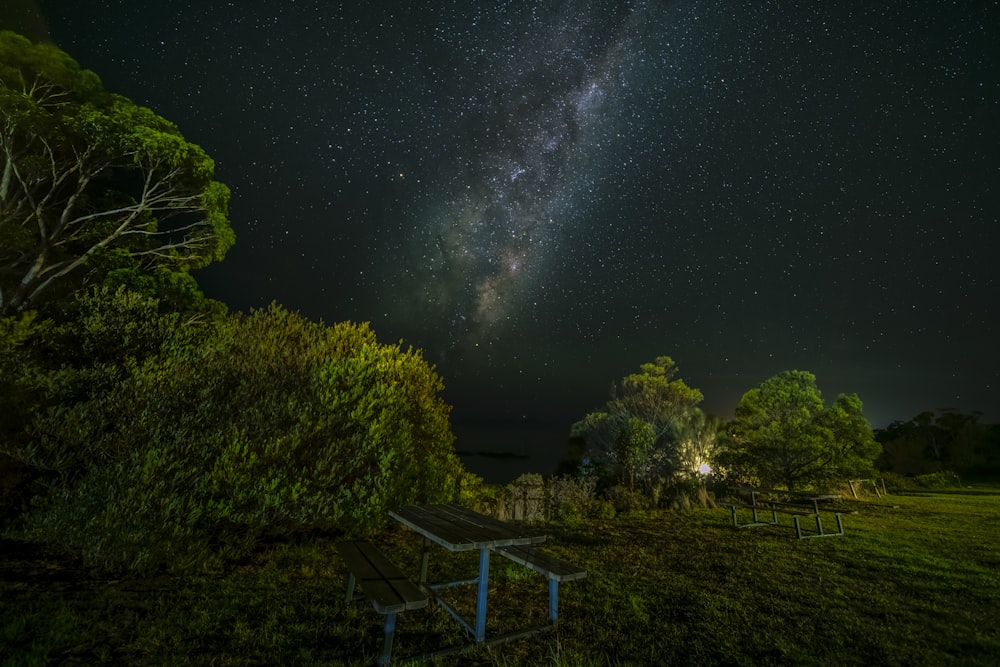 green trees under starry night