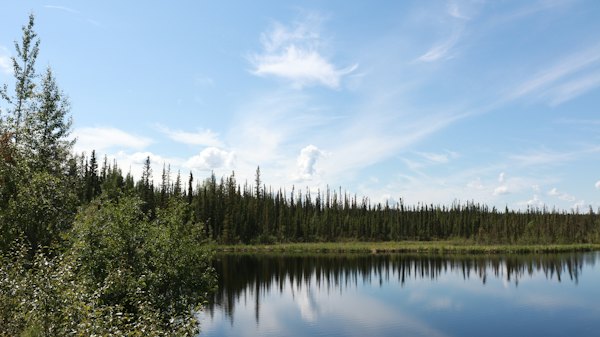 Still water mirroring the boreal forest — Fairbanks, United States