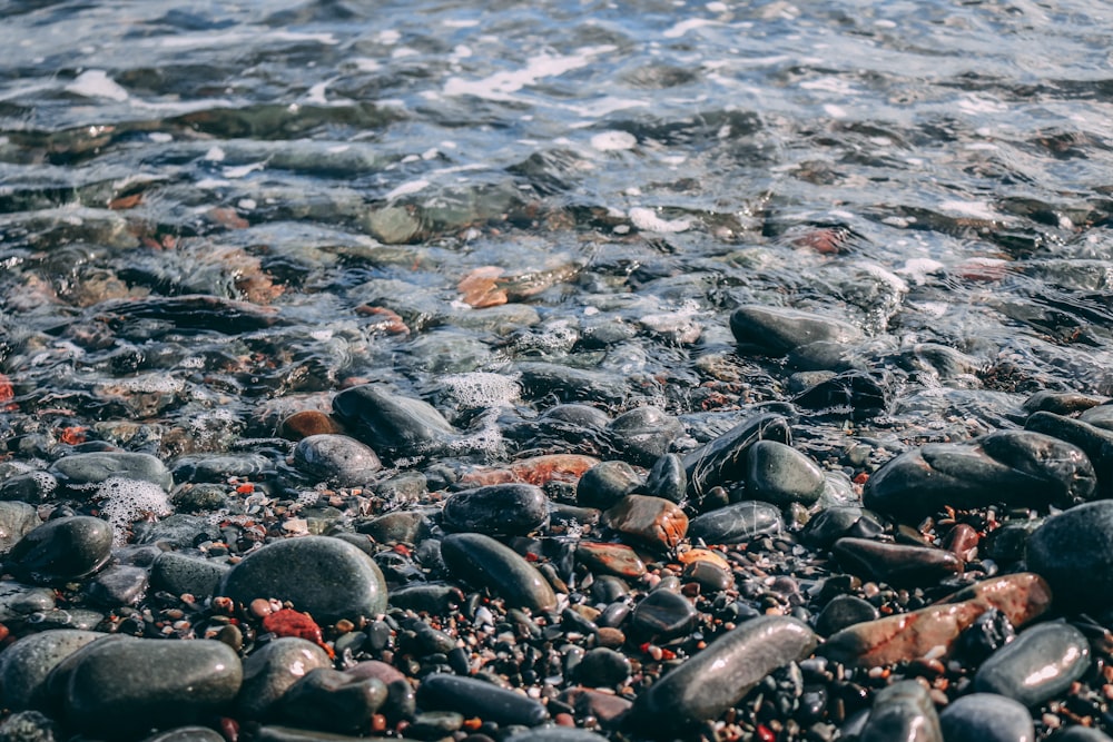 black and gray stones on seashore during daytime