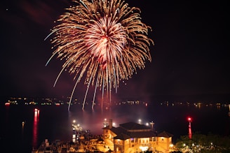 Bright, colorful fireworks burst in the night sky over a large body of water, with reflections visible on the surface. Below, a well-lit building and an array of boats are visible, indicating a festive or celebratory atmosphere.