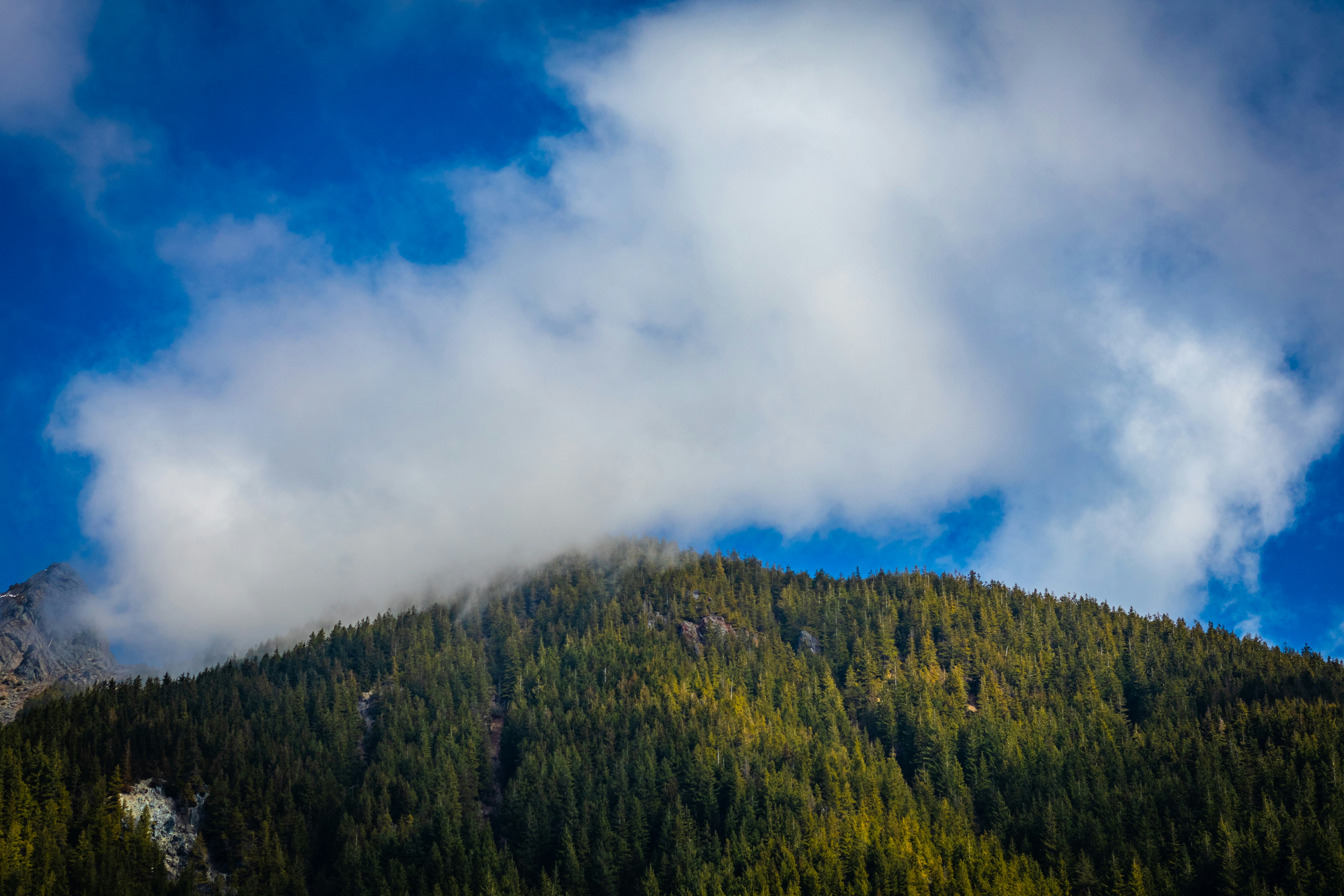 green trees on mountain under white clouds and blue sky during daytime
