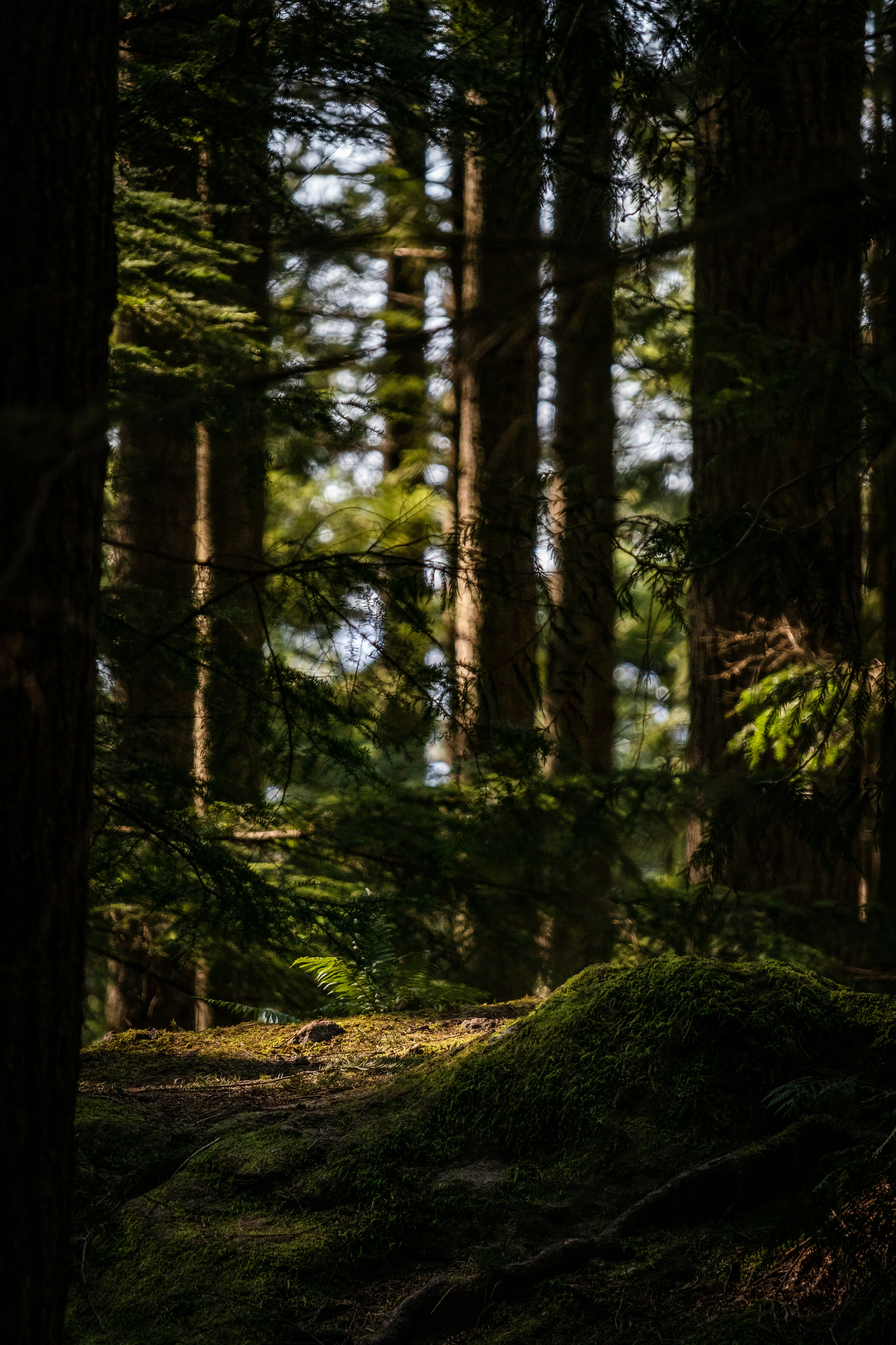 Photo by devin_photography