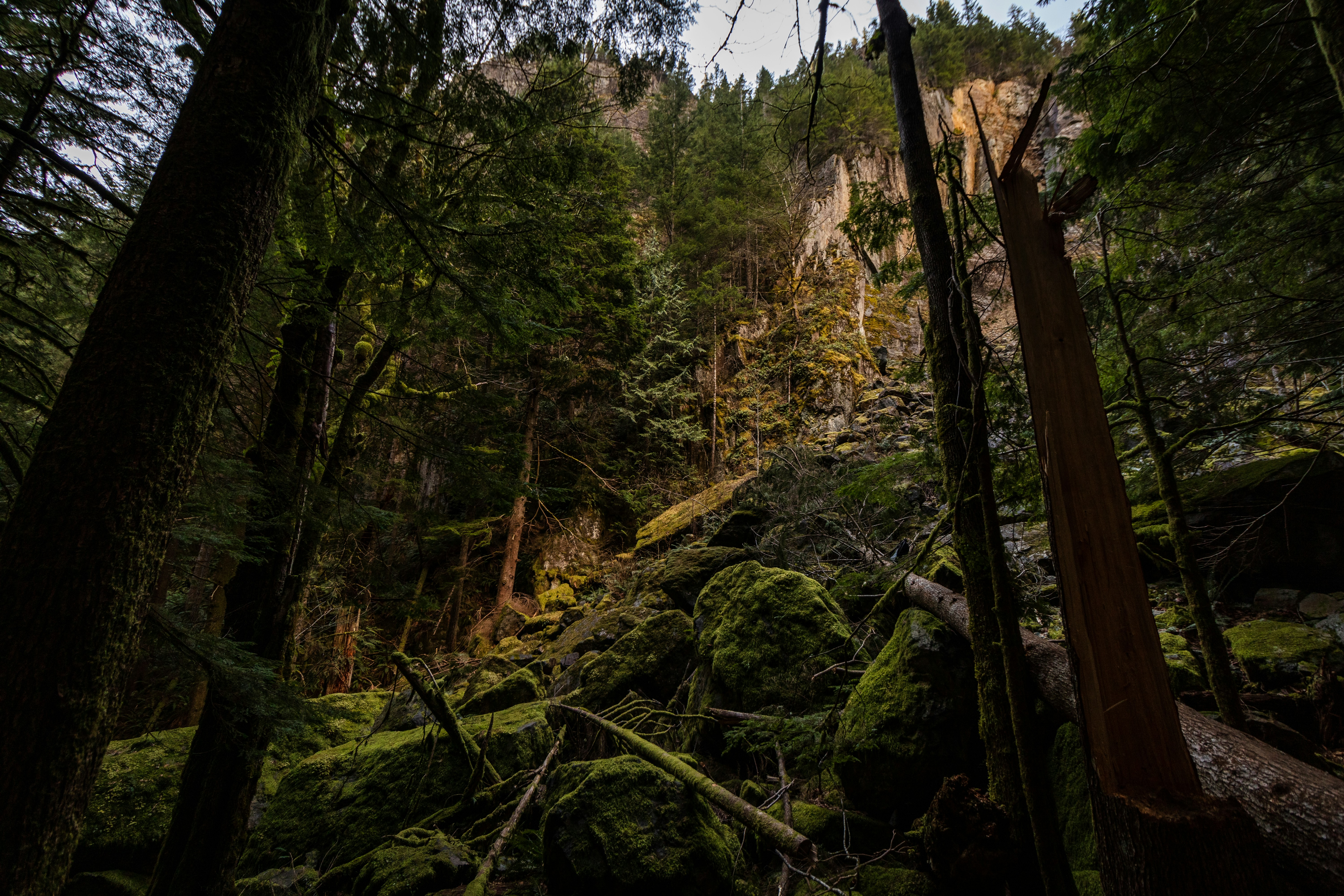 Photo by devin_photography