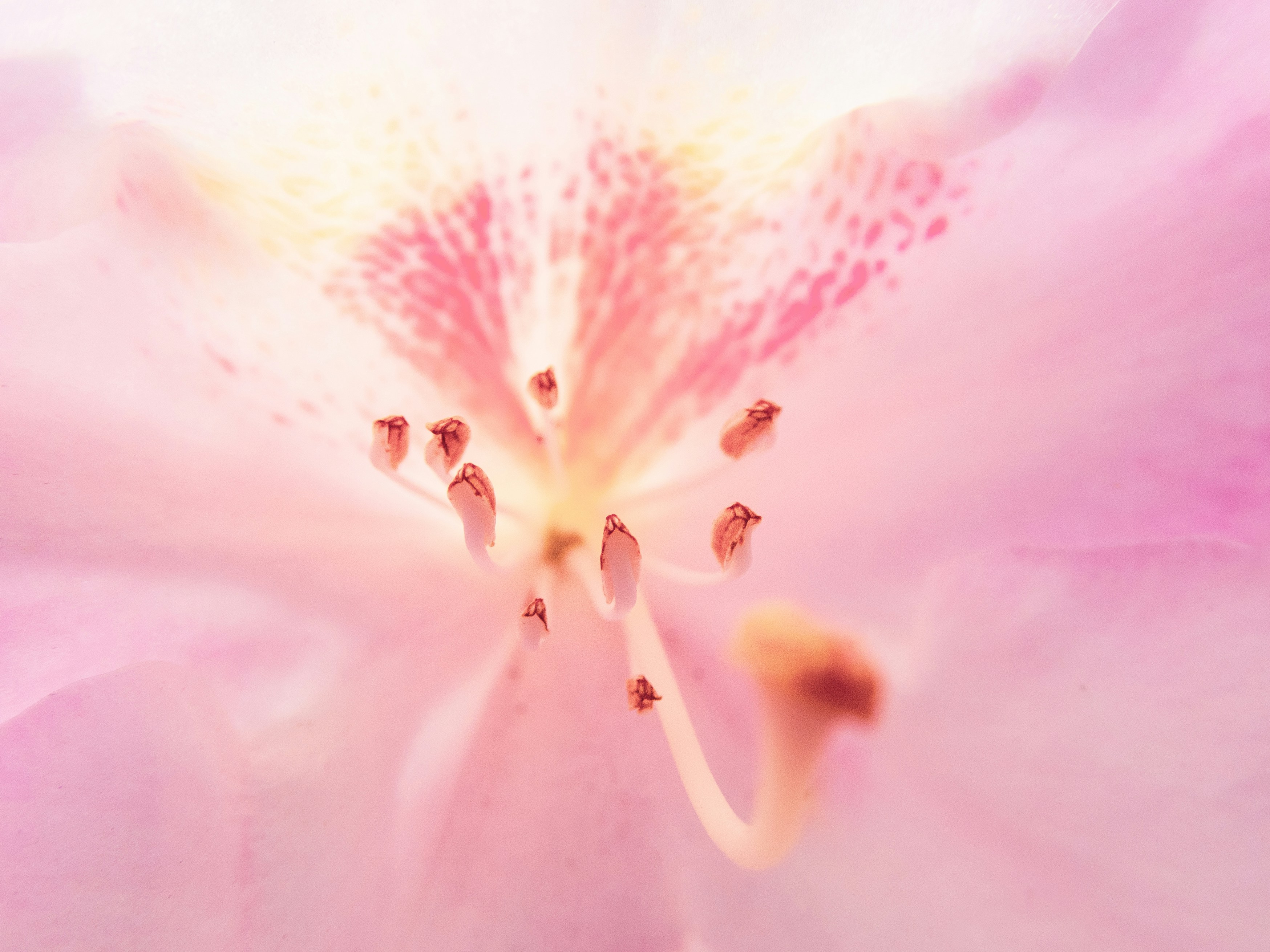 Photo by craigmelville