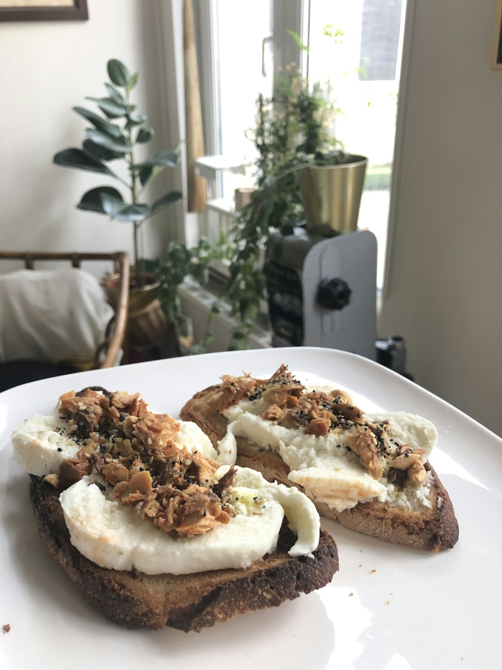 brown bread on white ceramic plate