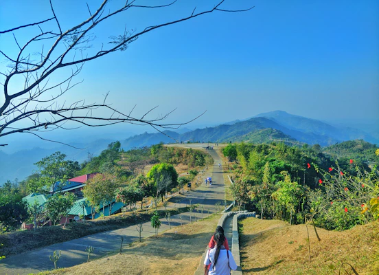 woman in white shirt walking on pathway near green trees and mountain during daytime