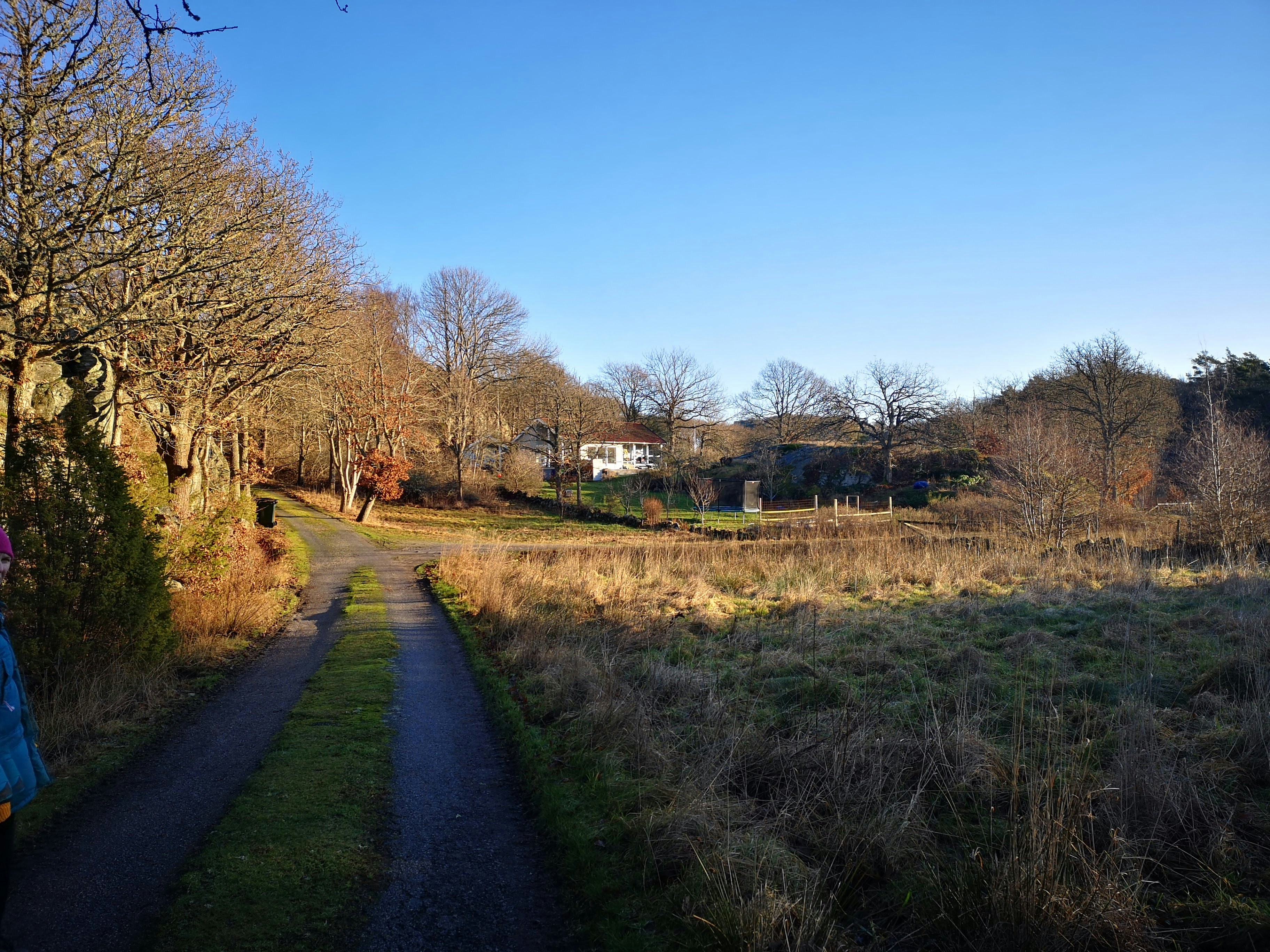 Photo by martenwestlund