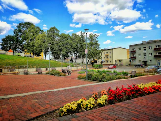 Volunteers planting flowers and painting benches in a vibrant neighborhood park.