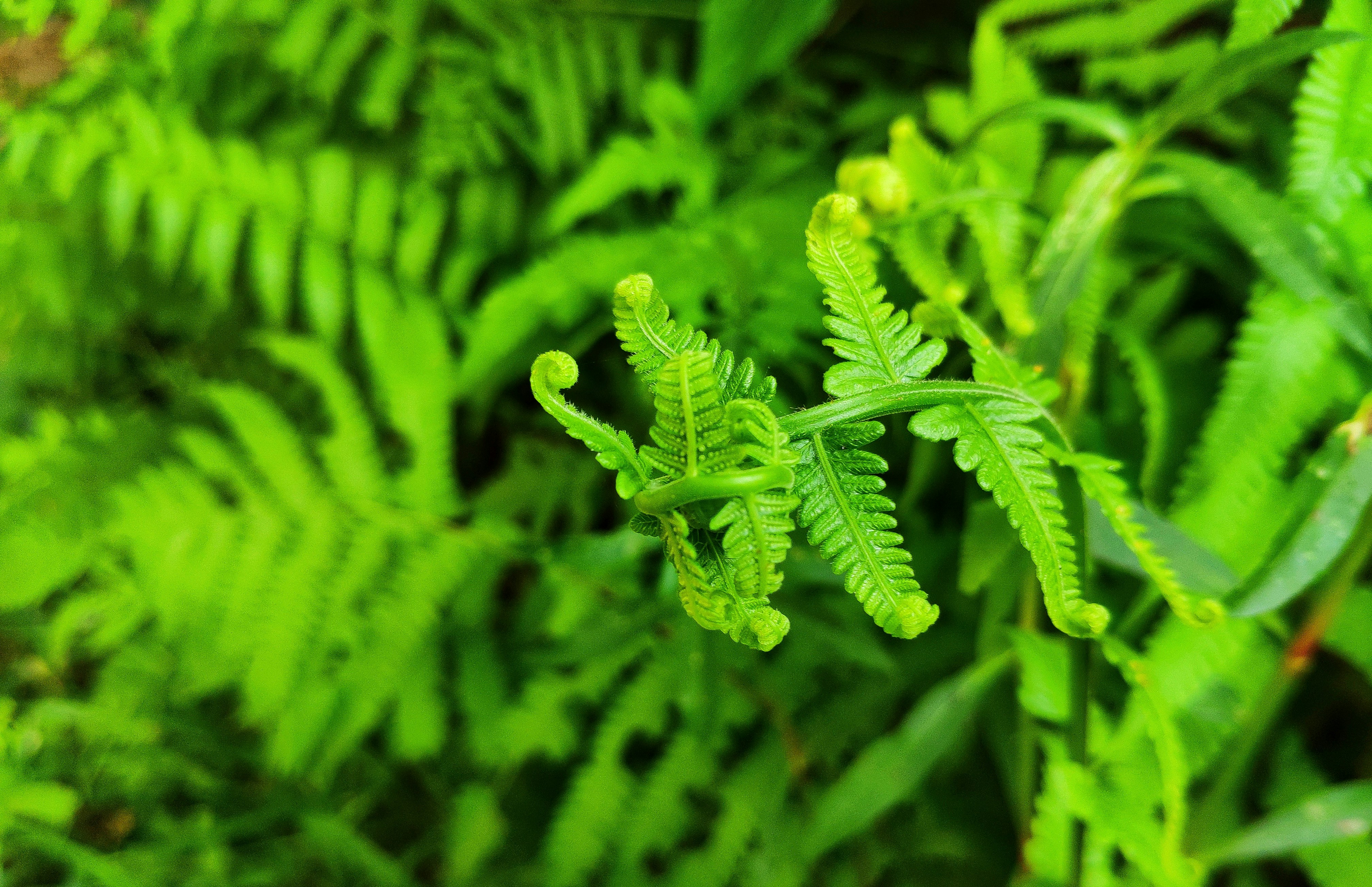 photo 1585126509923 7144172ef884?ixlib=rb 4.0