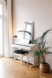 black and white piano near green indoor plant