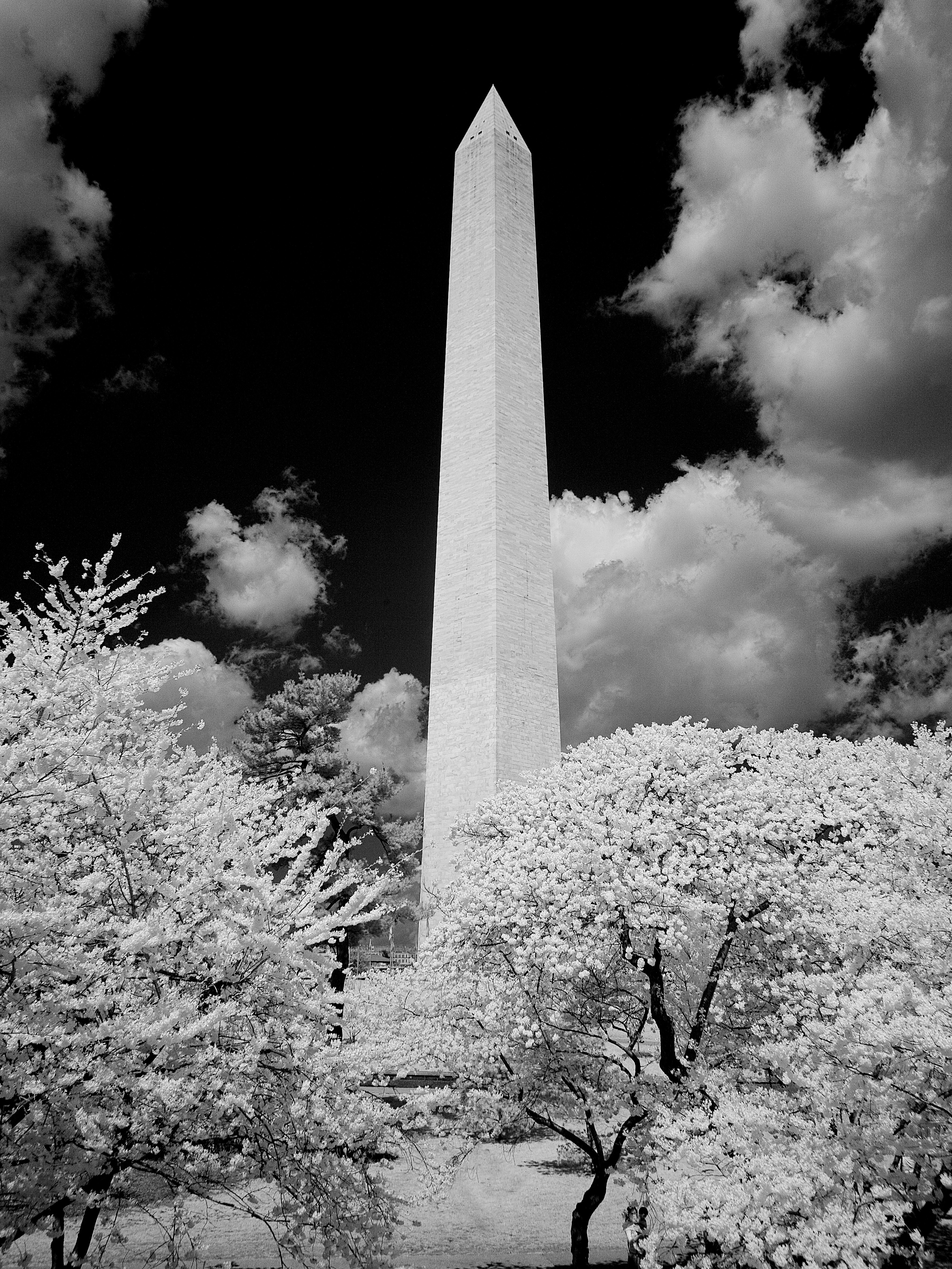 Washington Monument, Washington, D.C. Digital photograph by Carol M. Highsmith, 2007. Library of Congress Prints & Photographs Division. https://www.loc.gov/resource/highsm.04197/