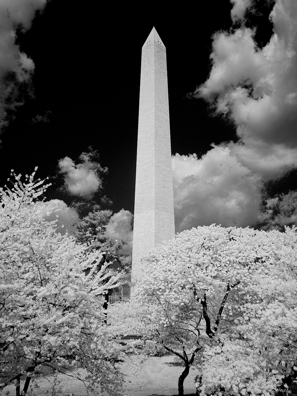 Washington Monument, Washington, D.C. 