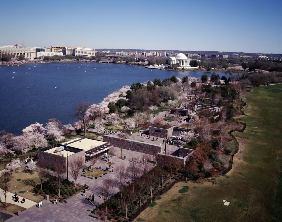 Aerial view of Washington, D.C. at Cherry Blossom Festival time