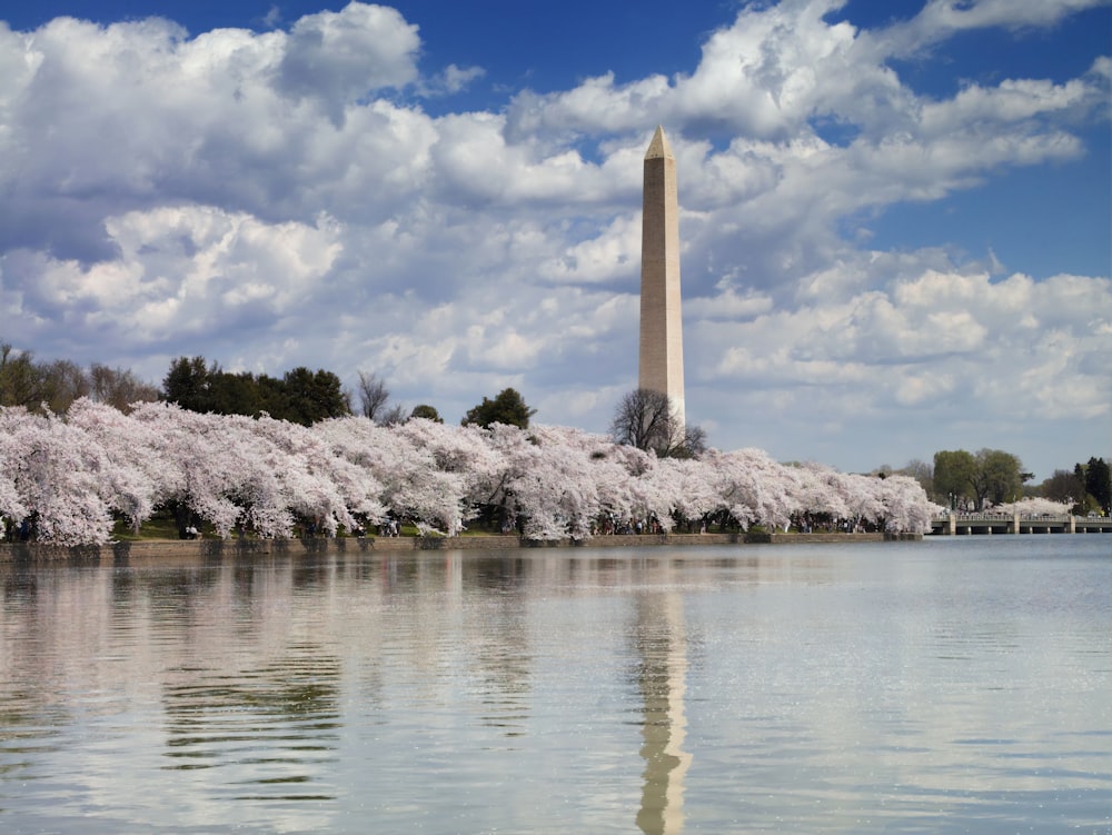 Washington Monument, Washington, D.C.