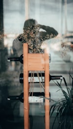 A wooden wine rack holding three wine bottles, accompanied by decorative foliage and observed from behind a glass pane, reflecting a person taking a photograph. There is also a glimpse of indoor plants at the bottom right.