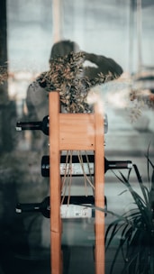 A wooden wine rack holding three wine bottles, accompanied by decorative foliage and observed from behind a glass pane, reflecting a person taking a photograph. There is also a glimpse of indoor plants at the bottom right.