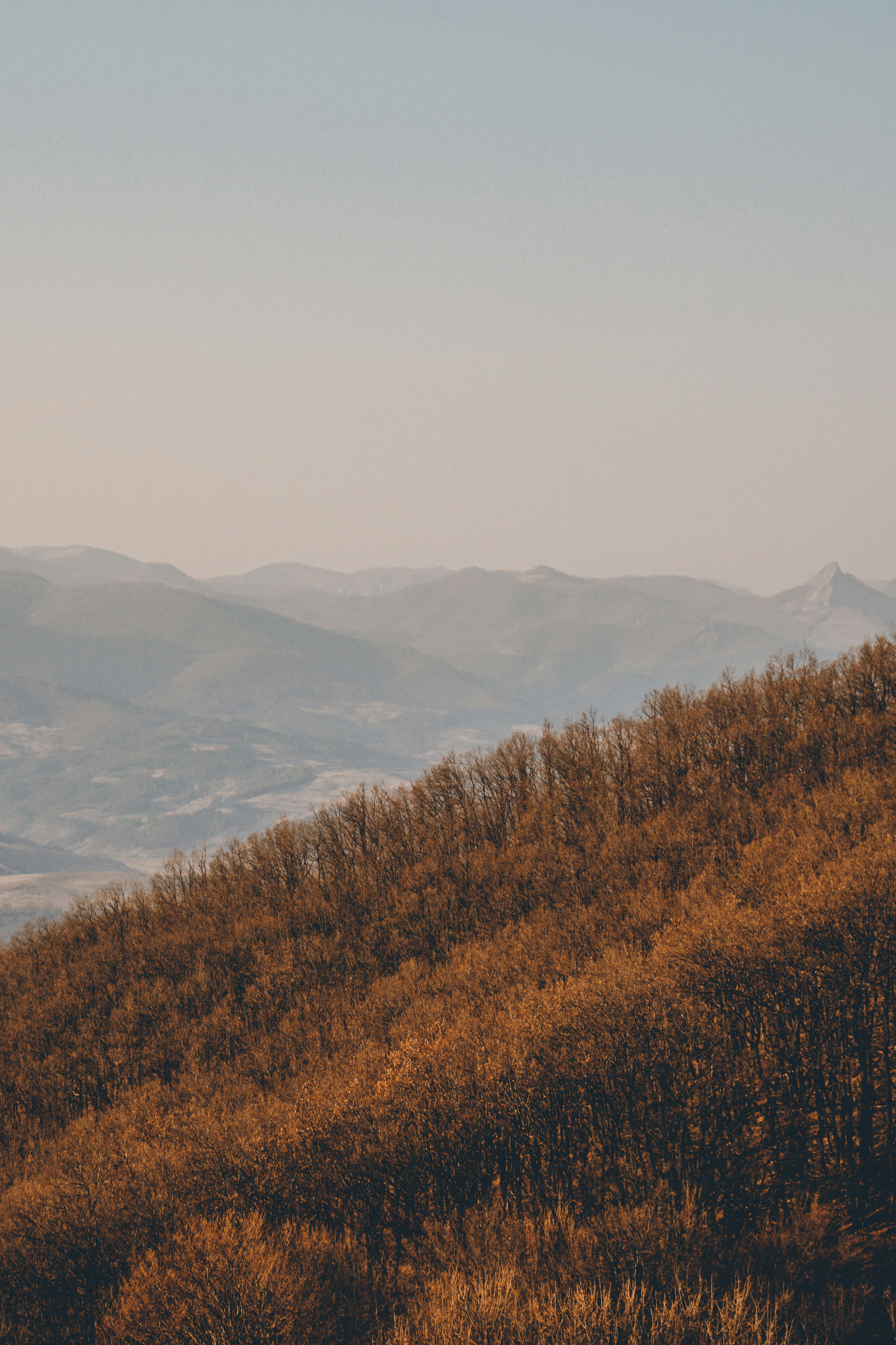 Photo by luisgherasim