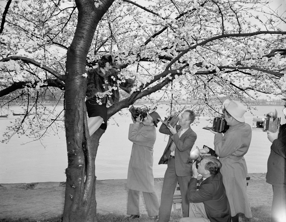 Cameramen tree Cherry Blossom Queen.