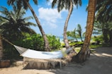white and black lounge chairs near palm trees under blue sky during daytime