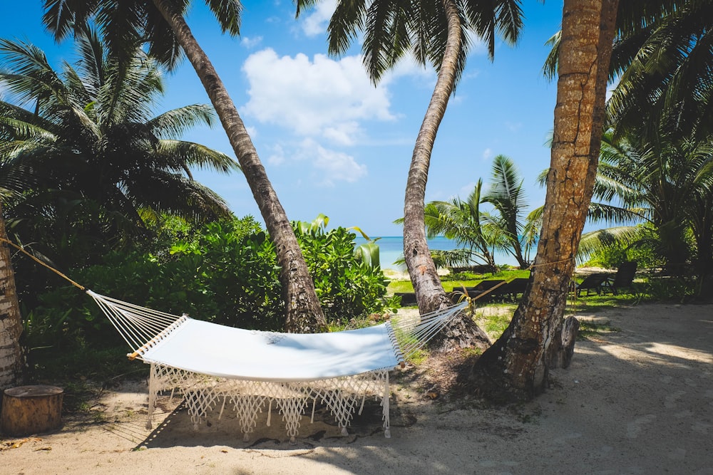 white and black lounge chairs near palm trees under blue sky during daytime