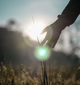 person holding light during daytime