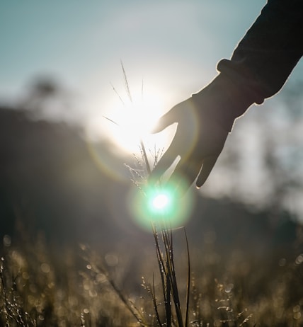 person holding light during daytime