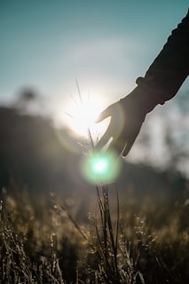 person holding light during daytime