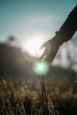 person holding light during daytime