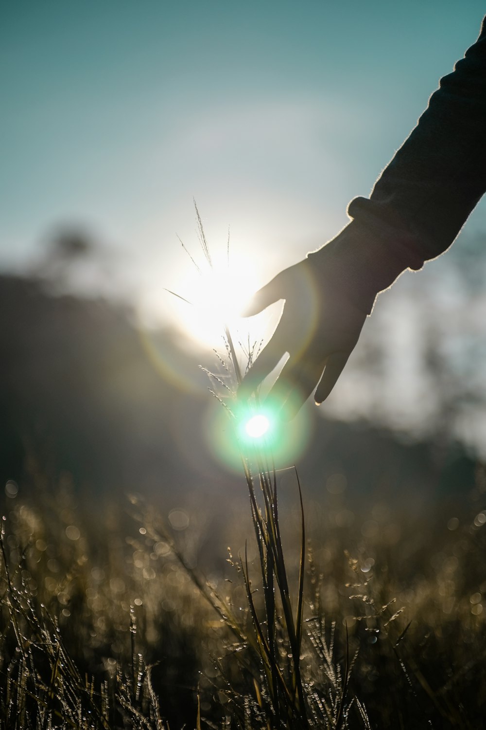 person holding light during daytime