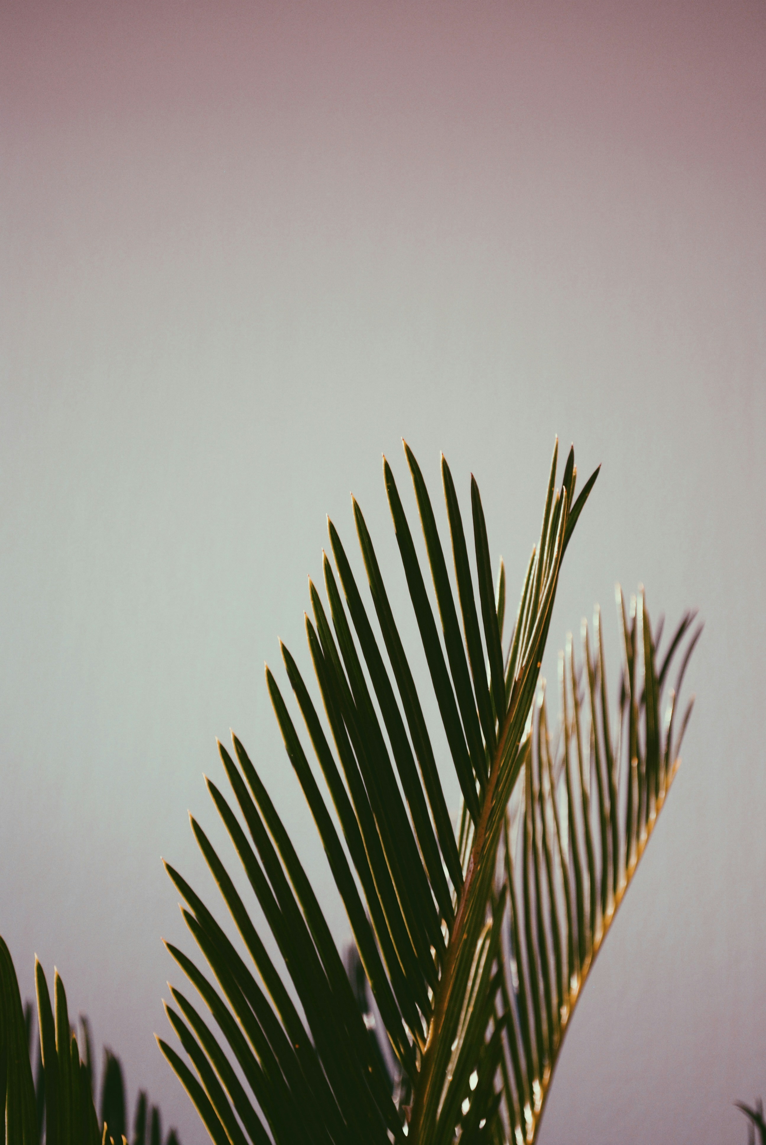 Photo by agzed