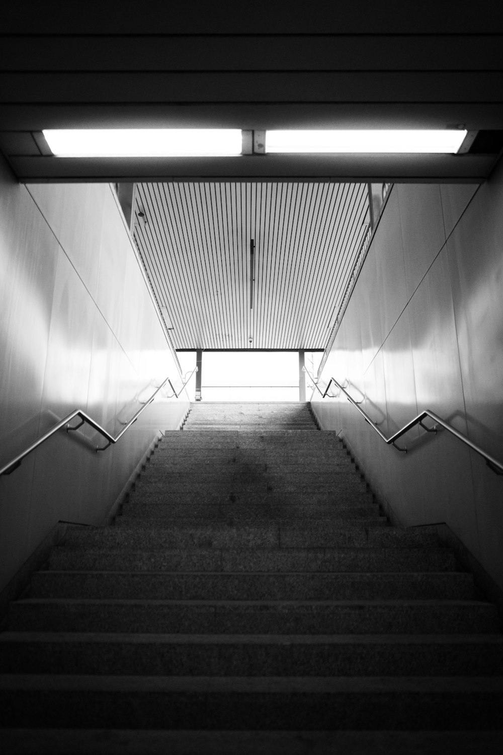grayscale photo of empty staircase