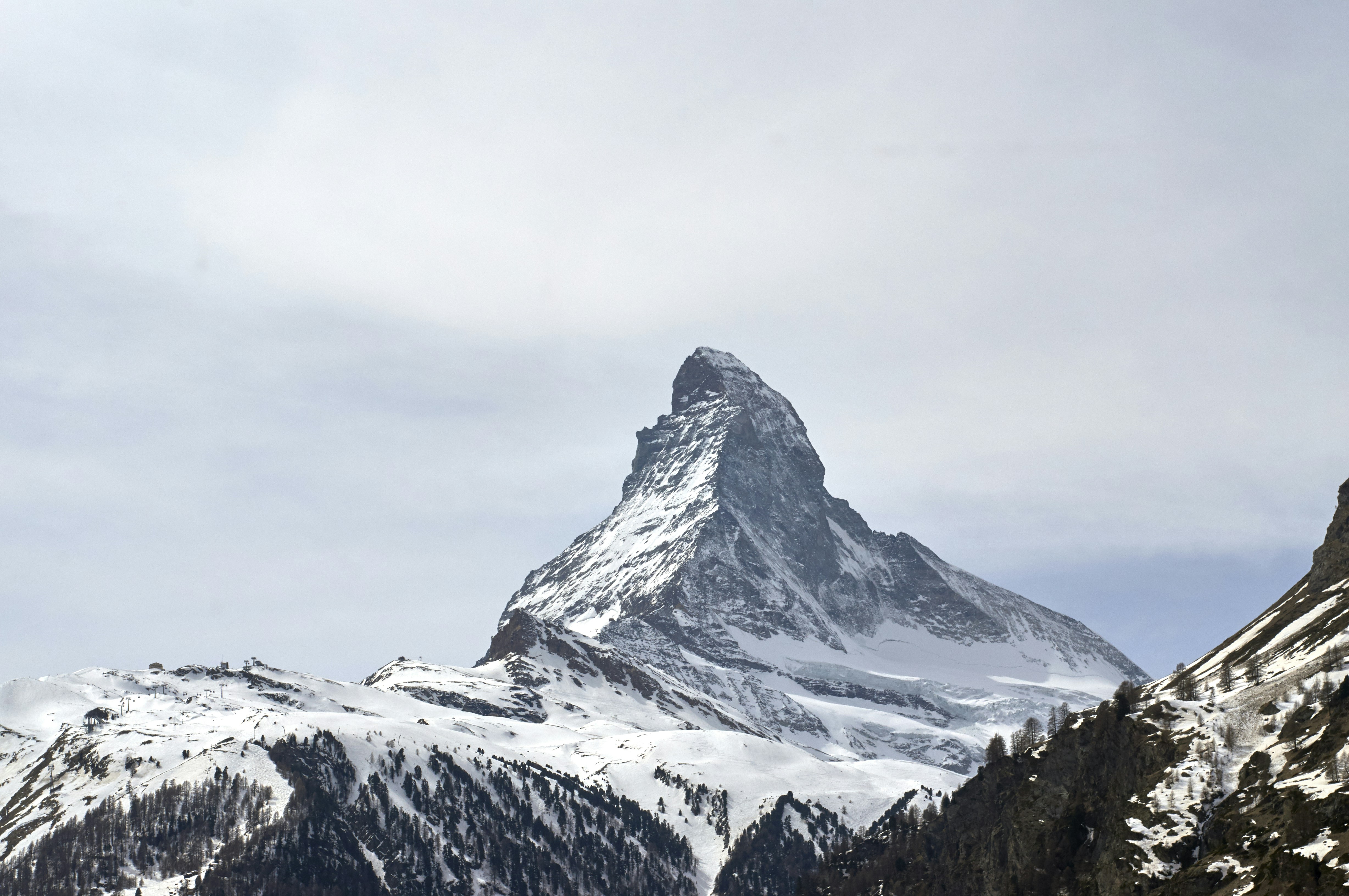 Photo by wolfgang_hasselmann