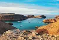 Best Things to Do in Muscat for First Timers (and Repeat Visitors)