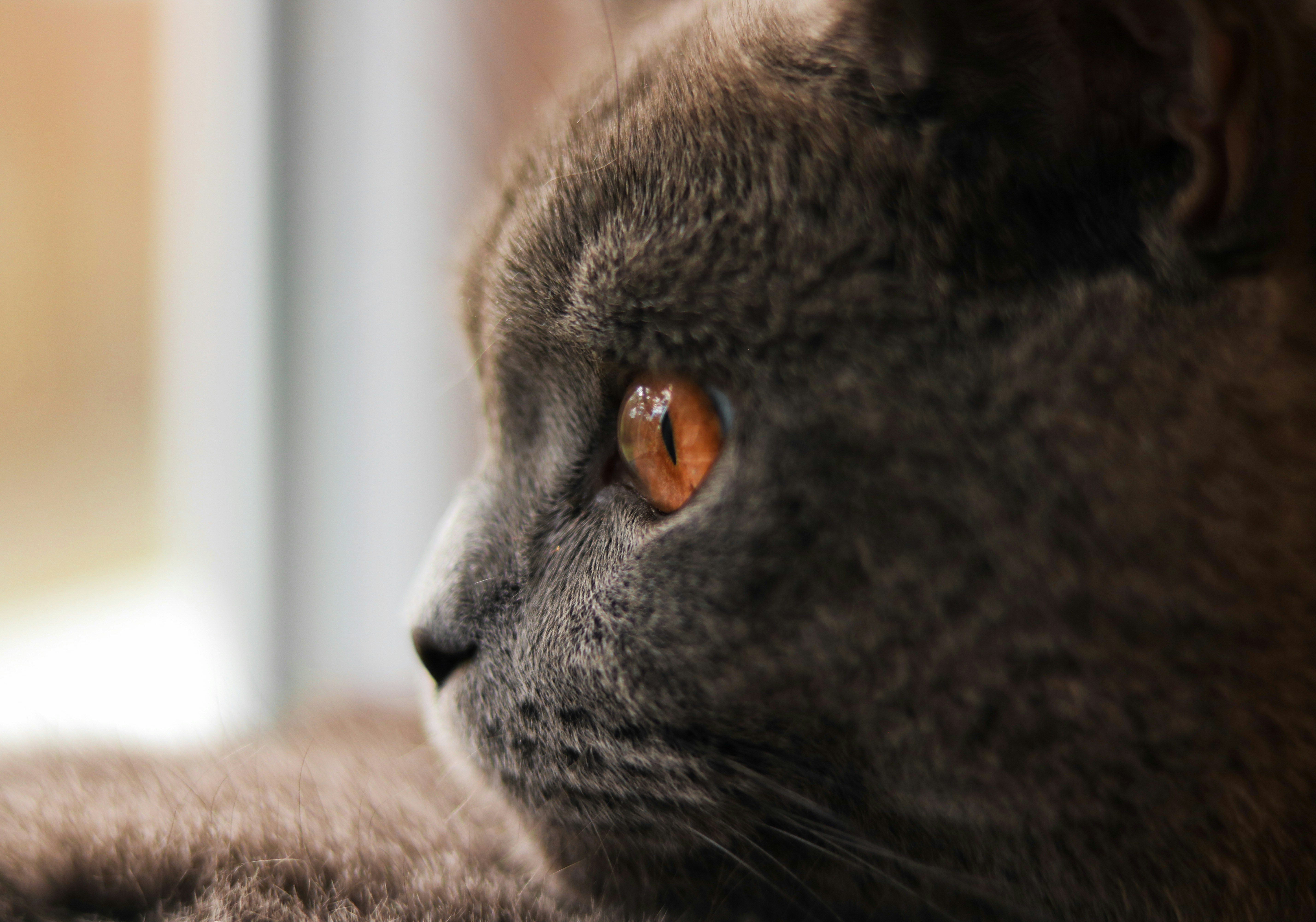 Photo by diemitdemuniontrikot